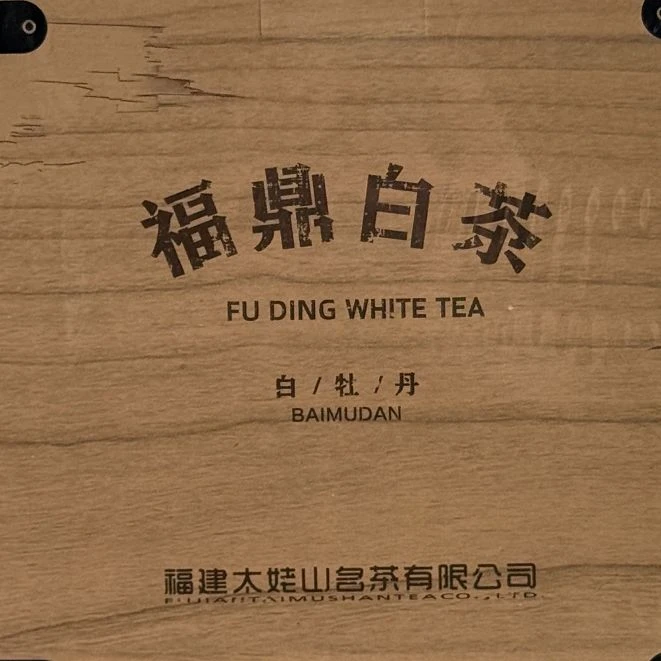 绿雪芽|太姥山白牡丹2020年250g