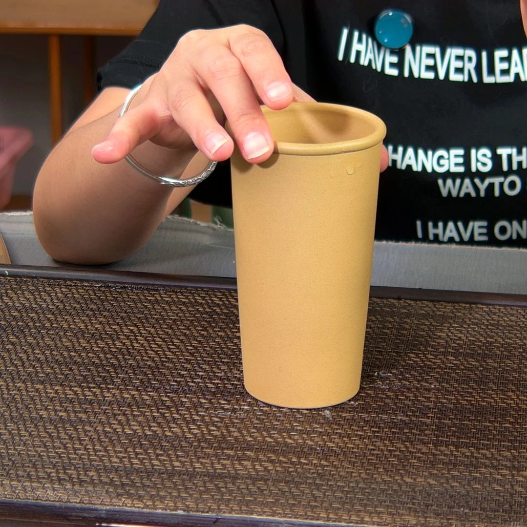 【闪购商品】茶杯紫砂高货放漏