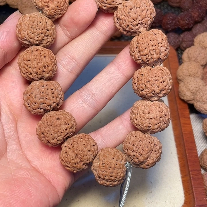 金刚菩提吊坠?****࿐尼泊尔大金刚菩提