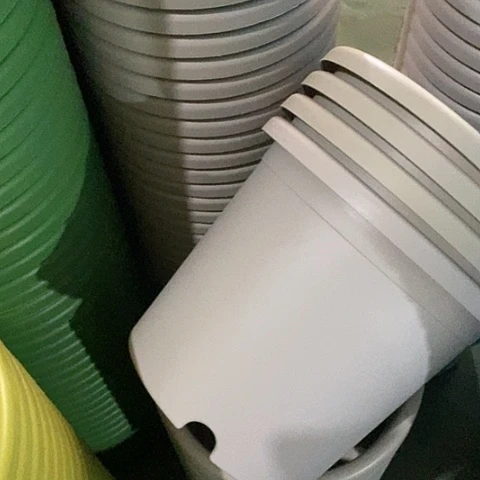 树脂四季4号灰白无托8个