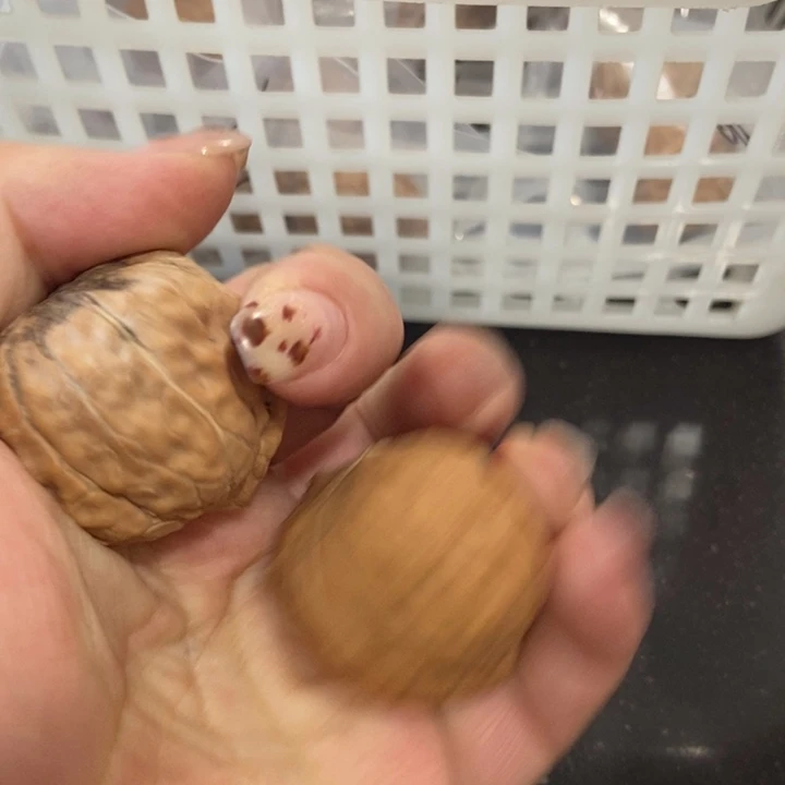 吊坠文玩核桃龟甲纹瑕疵