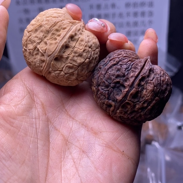 核桃云南野生铁核桃158号37mm