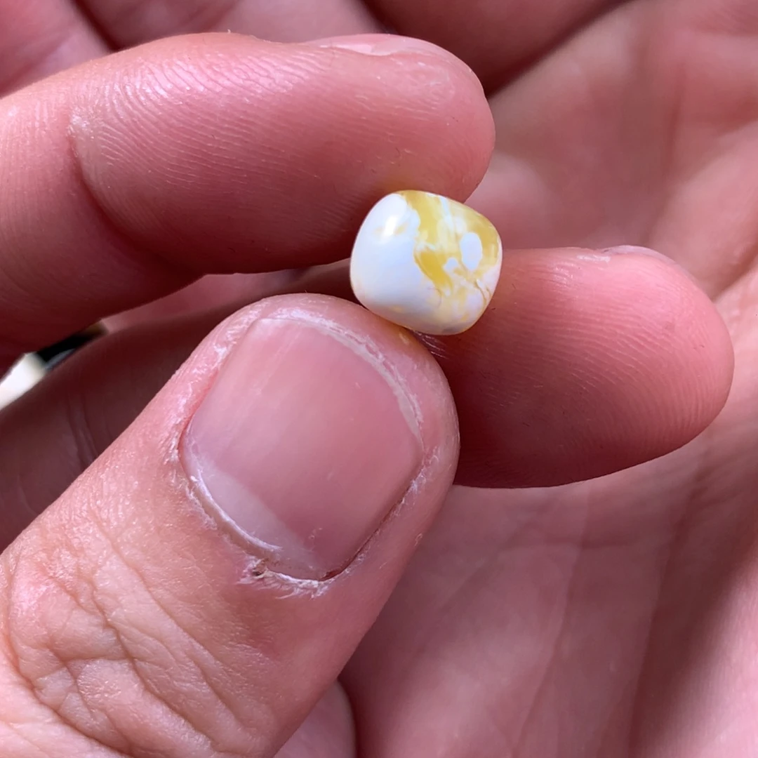 琥珀裸石未镶嵌R****n老型