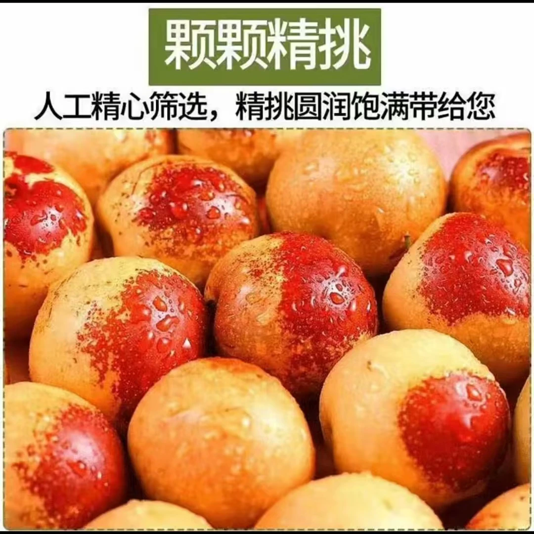 黄骅冬枣脆甜皮薄新鲜当季水果原产地直发