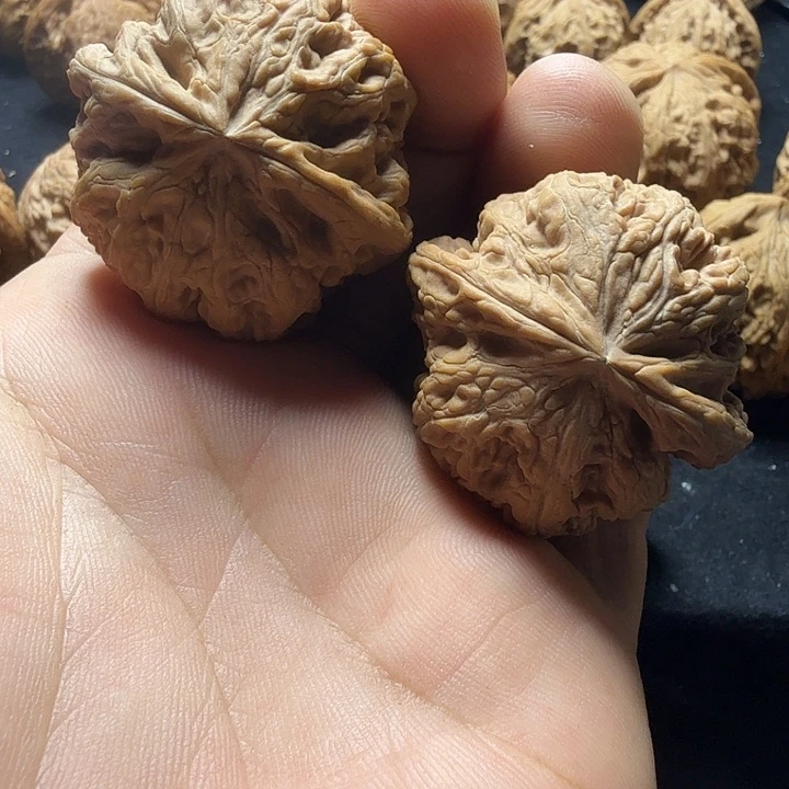 左***辰41全品大粗筋配对完美