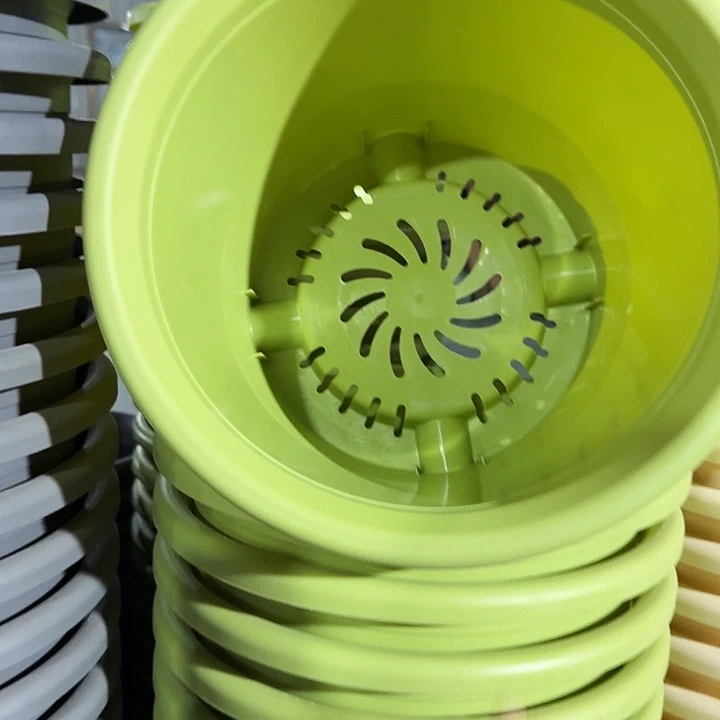 四季6号果绿无托7个特价