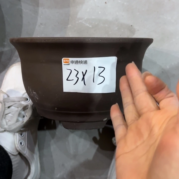 茶壶紫砂紫砂的花
