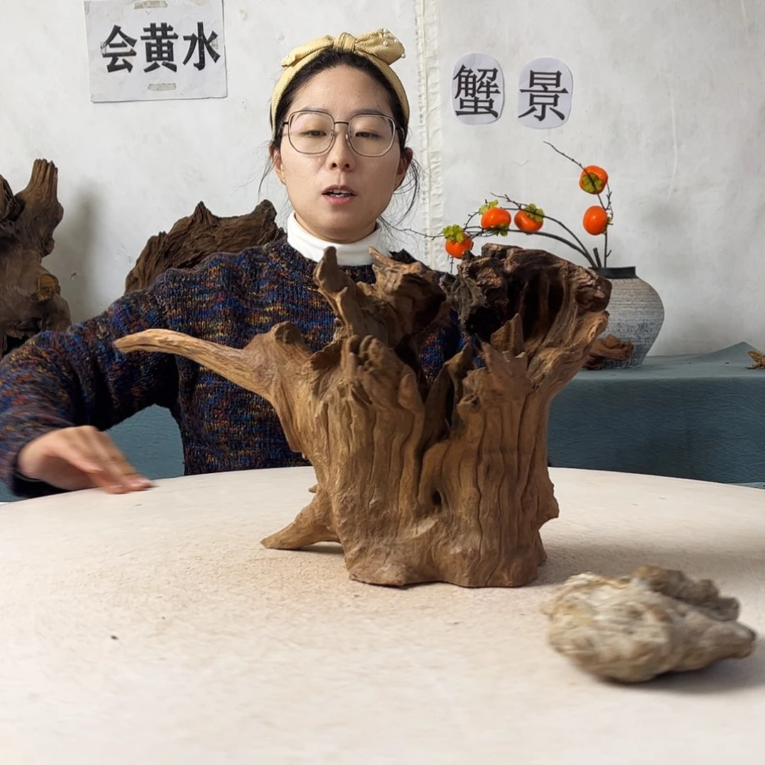 沉木造景寄居蟹造景