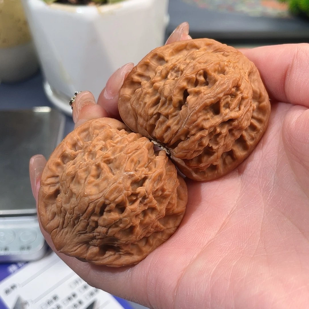 文玩核桃把件红狮子45 S23号