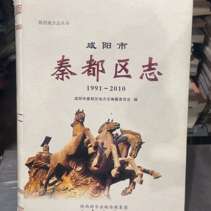 秦都区志精装塑封