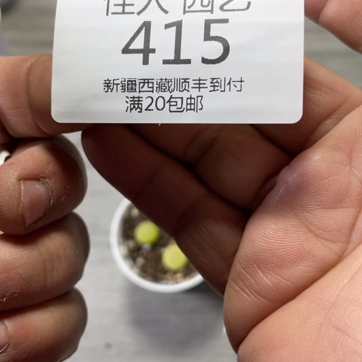 三**崽自愈比色蓝色预警预计415