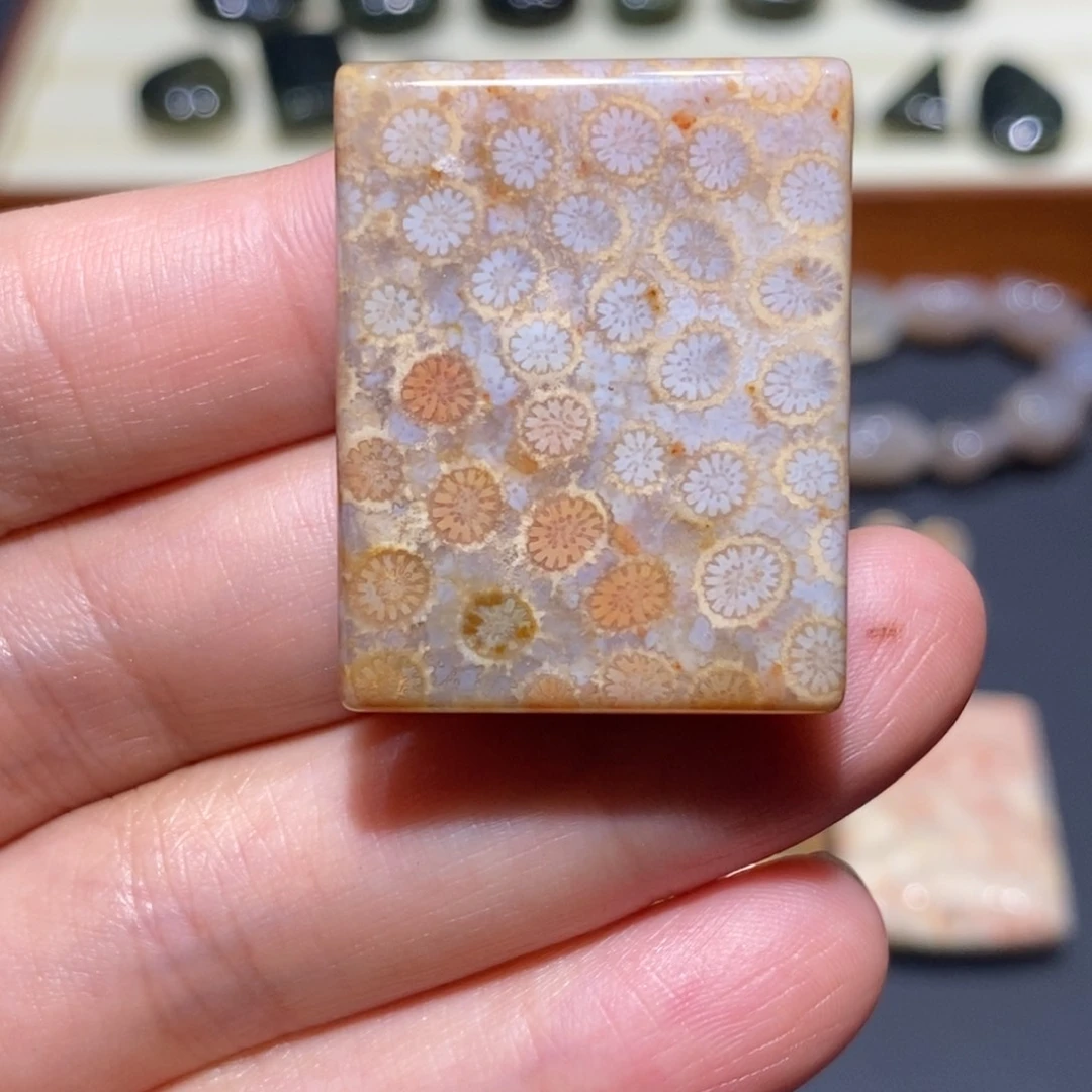 【闪购商品】未镶嵌珊瑚玉硅化玉