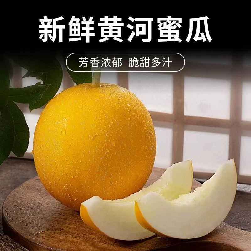黄皮甜瓜黄河蜜瓜软糯香甜金美人冰糖甜瓜新疆直发包邮
