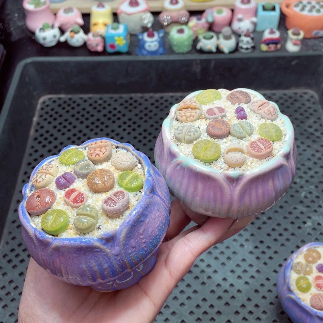 w7900 -零下地区拍保温箱-15支持寄养