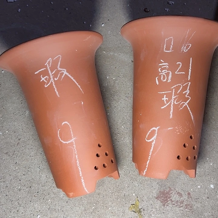 自始至终周三周四周三周四