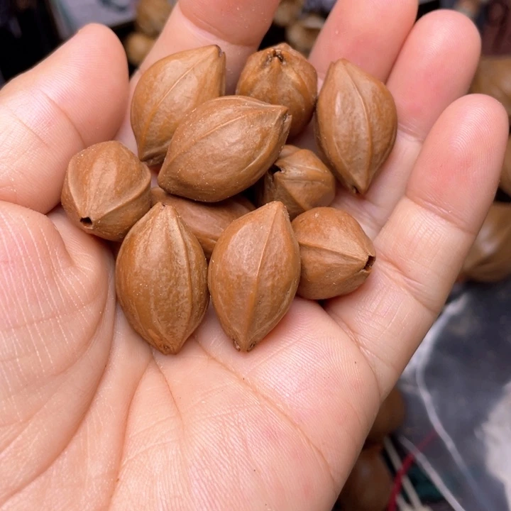 手串/手链橄榄核橄榄核铁头1.7左右