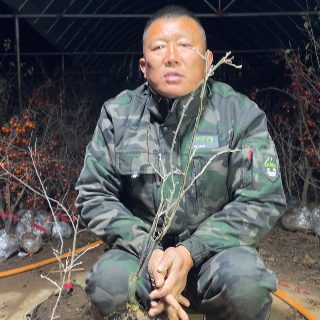 无花朵随机发货，不挑不选
