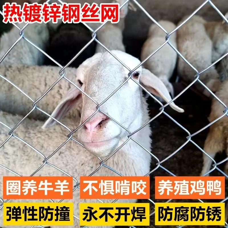 镀锌铁丝网围栏批发防护网勾花网钢丝网养殖羊牛猪果园栅栏护栏网