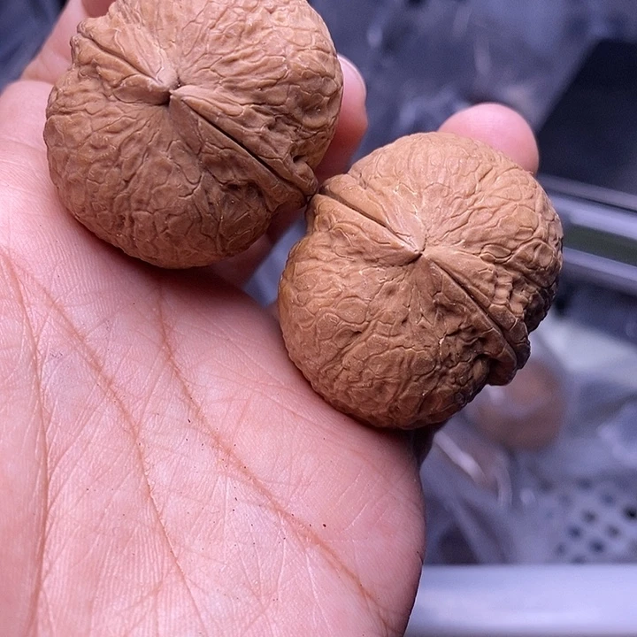 文玩核桃把件   265