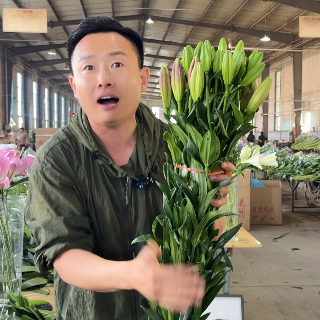 全部花苞亚洲红色百合