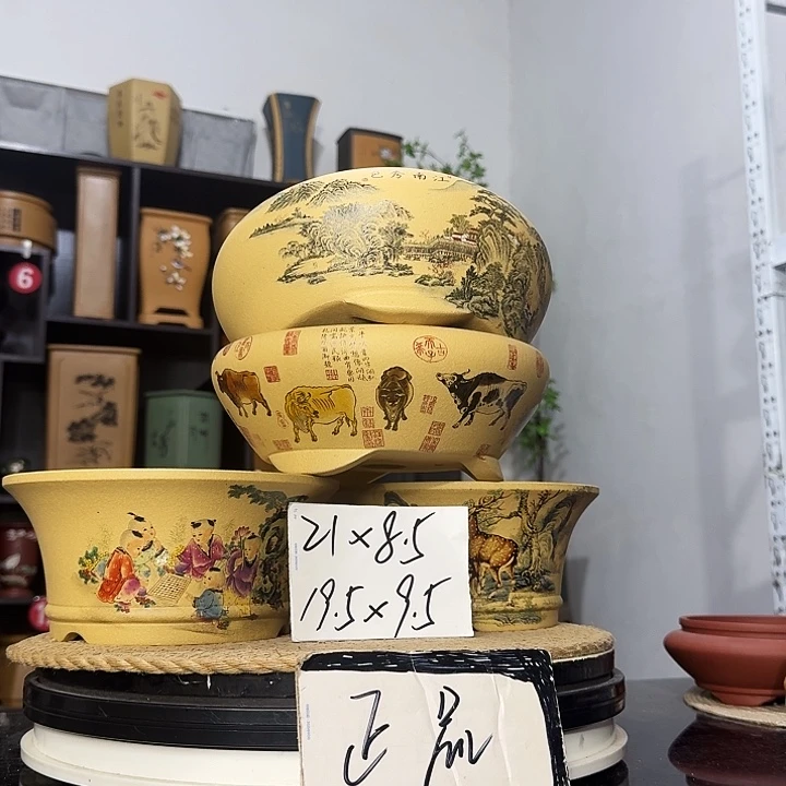 紫砂花盆盆友记紫砂