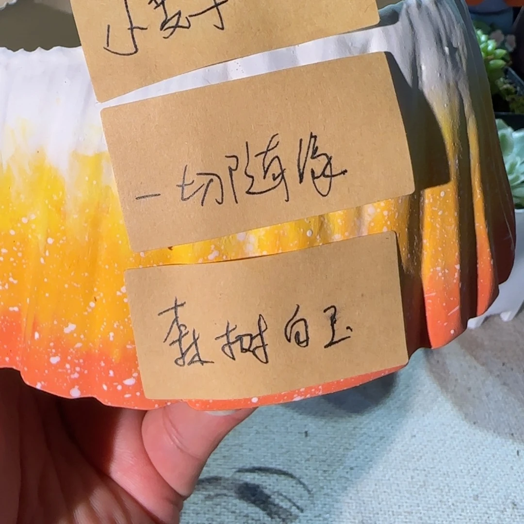 一***，你要好好休息好呀