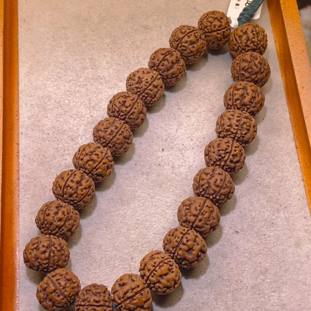 金刚菩提手串古树龙珠16+