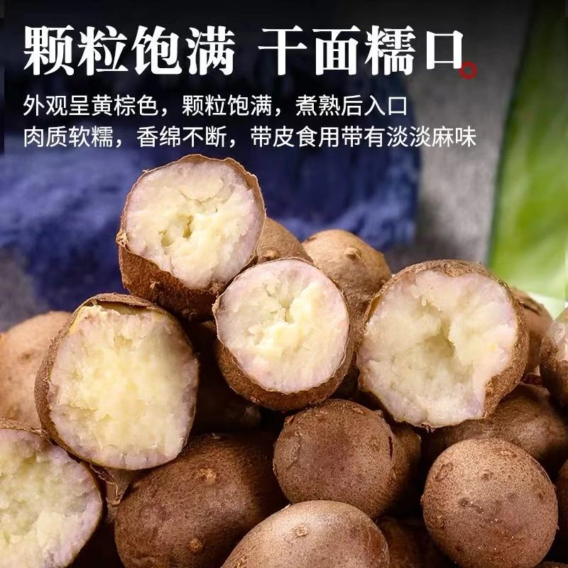 【专属】25年新品山药豆颗粒饱满绵密营养美味净重3斤老少皆宜