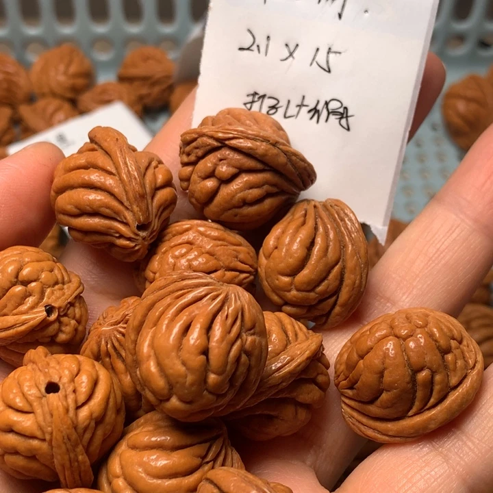 野生龙纹桃核霸王龙