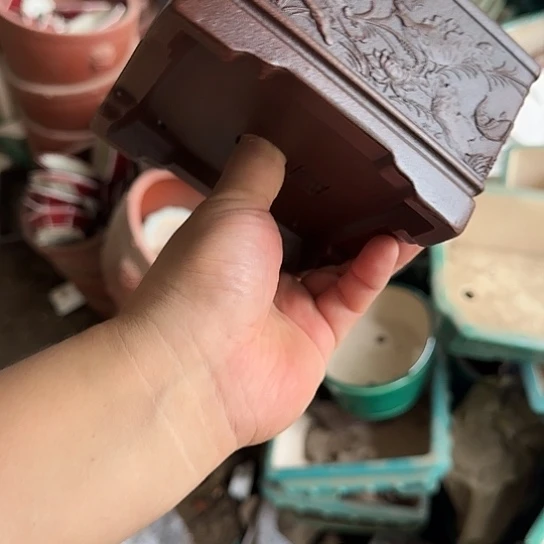 是的呀哈哈是这样哈哈好开心