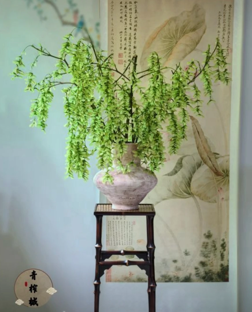 【拾花拾木】 木蜻蜓  鲜花 云南鲜花