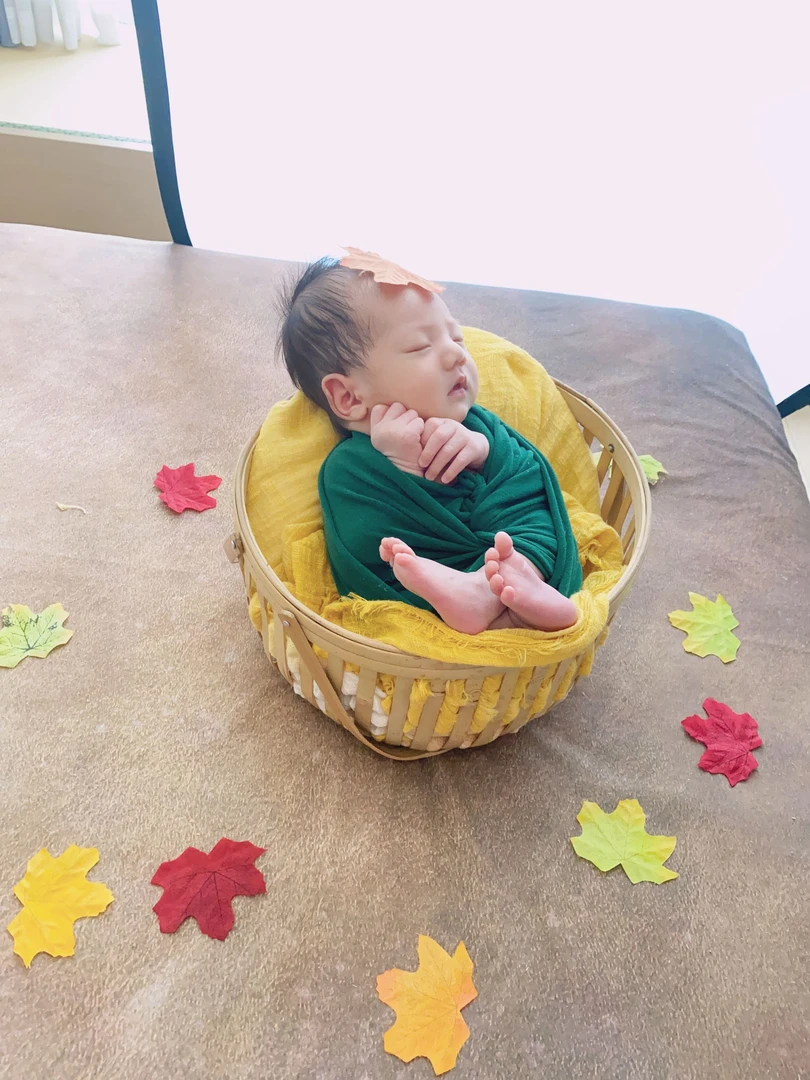 宝宝衣服哈衣四季款（以直播间展示为主）