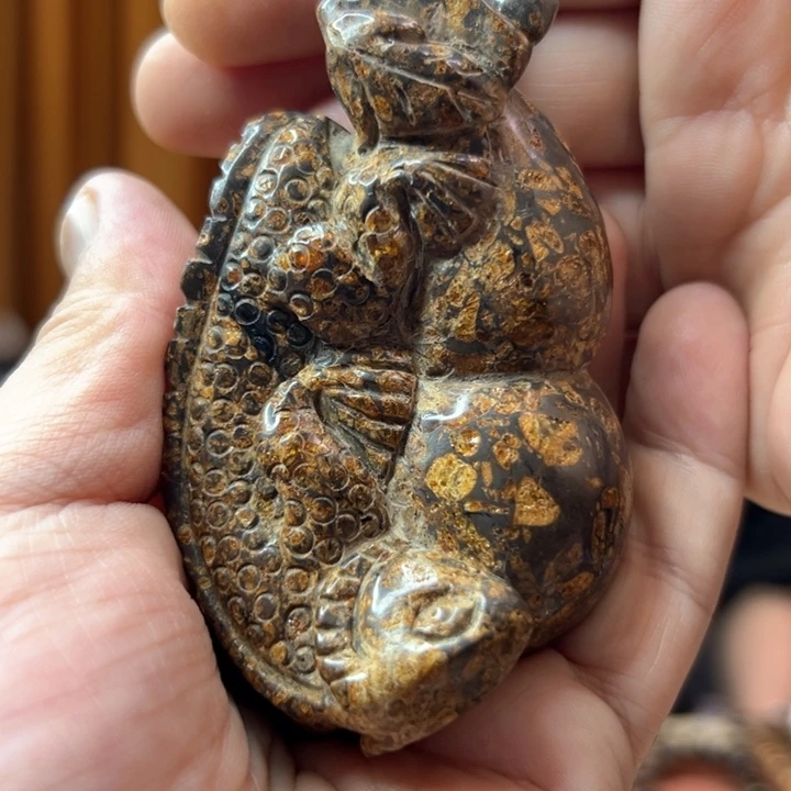 琥珀裸石未镶嵌海*抚顺55555