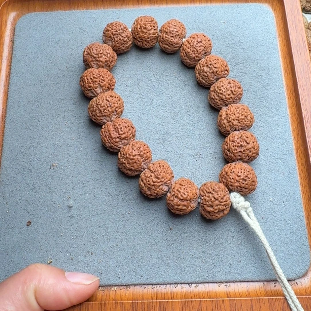 菩提菩提2号尼泊尔大金刚21菠萝蜜