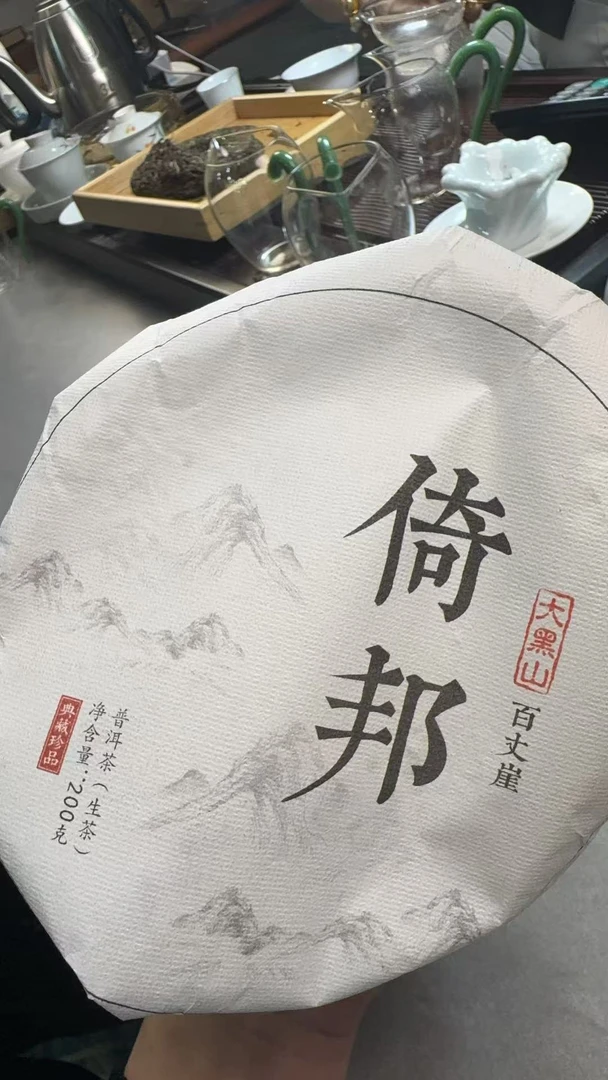 2月23日  200克  24年倚邦  生茶饼茶 QW027