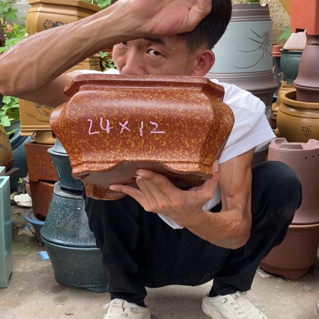 紫砂紫砂紫砂紫砂
