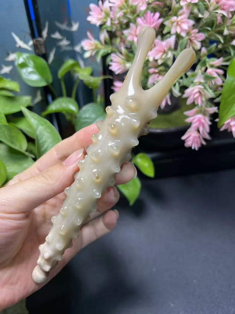 板娘专享 牦牛美鼻器 微瑕福利 随机发货 不退不换 -X080