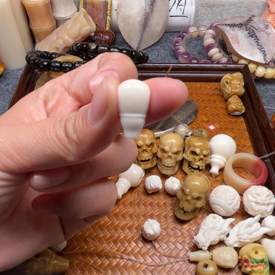 其他鹿骨人工养殖驼骨10
