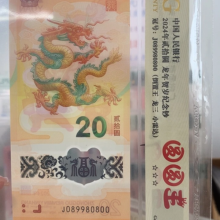 塑料089.龙三，圆圆王