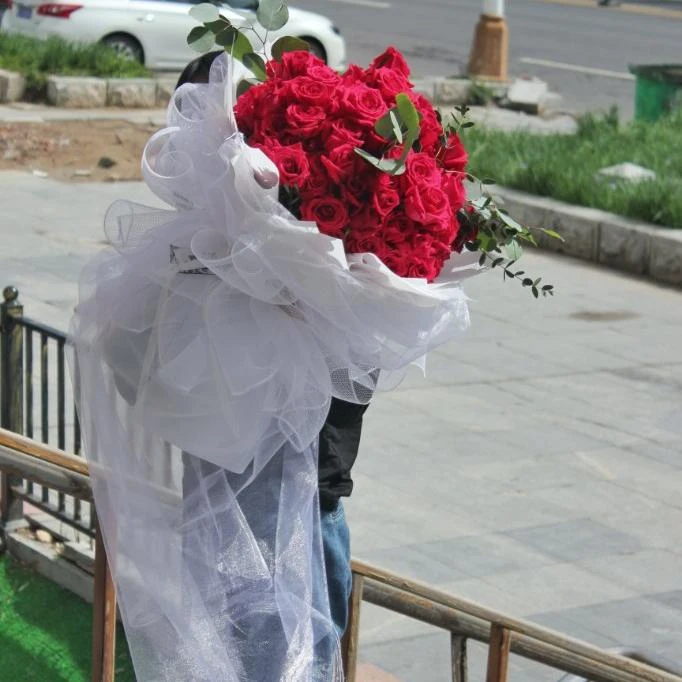 【长日心喜】99朵红玫瑰搭配尤加利叶白色长纱表白求婚情人节七