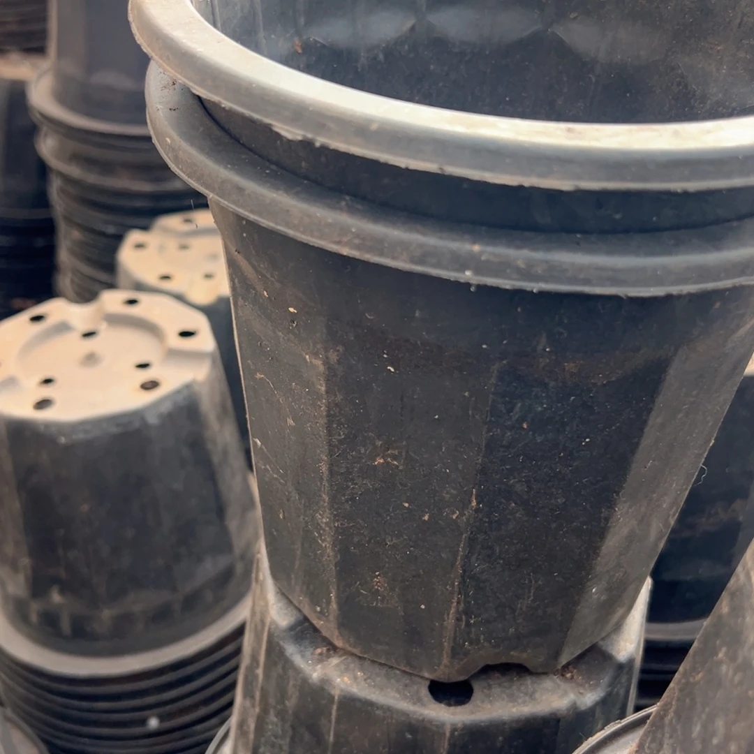 黑砖盆20口径17高 10个