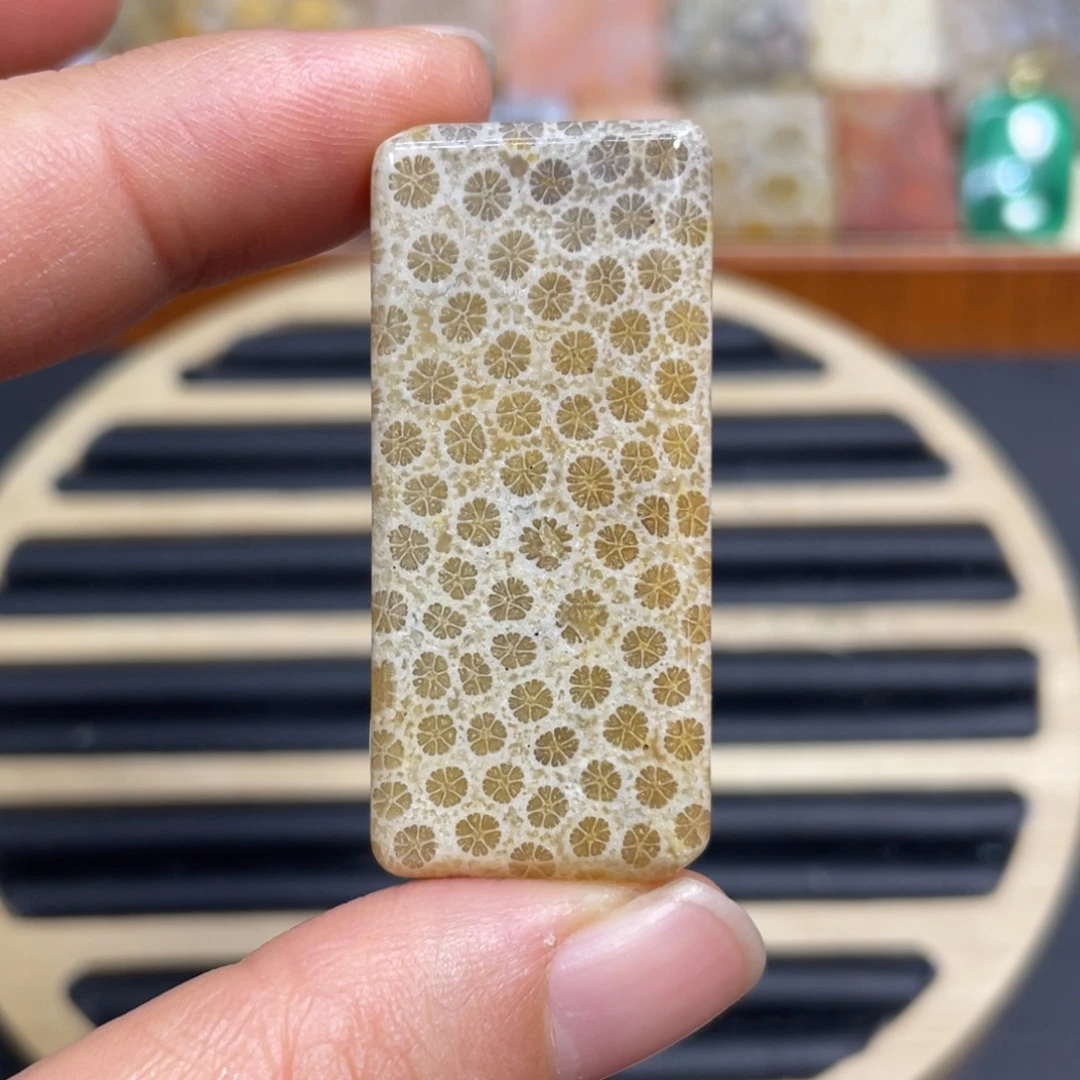 硅化玉未镶嵌颈饰k16