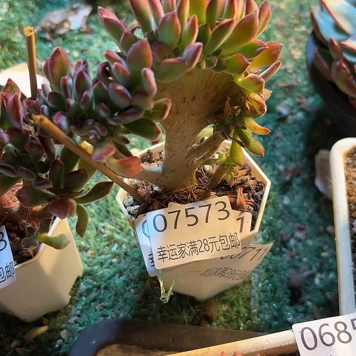 幸运的是我还没遇到过这么