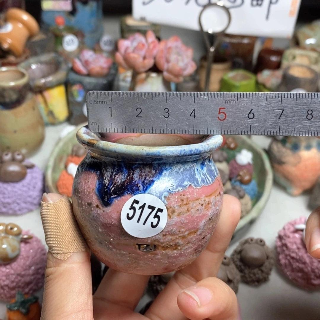 拍5送一个小礼物