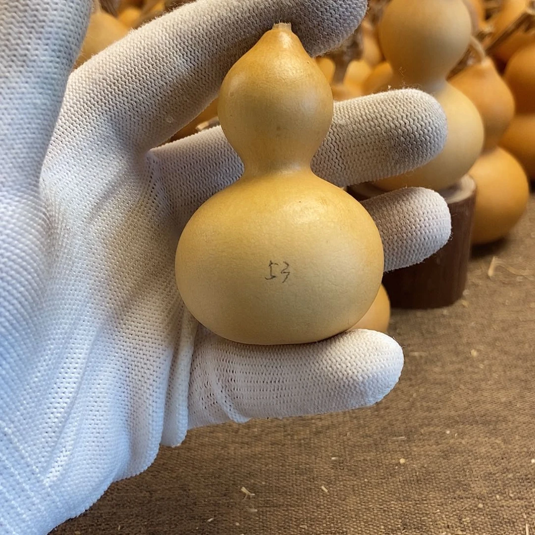 文玩葫芦 完美主义者 慎拍53