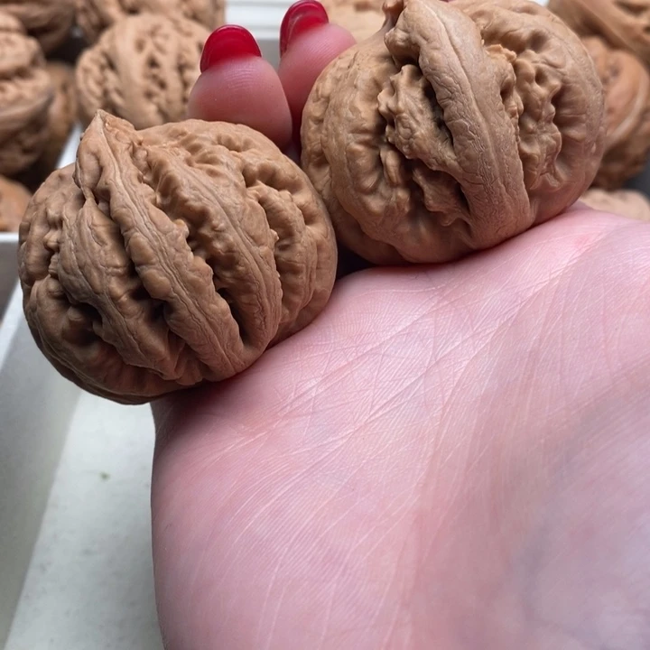 茗***邺霸王龙全品无修一刀没动