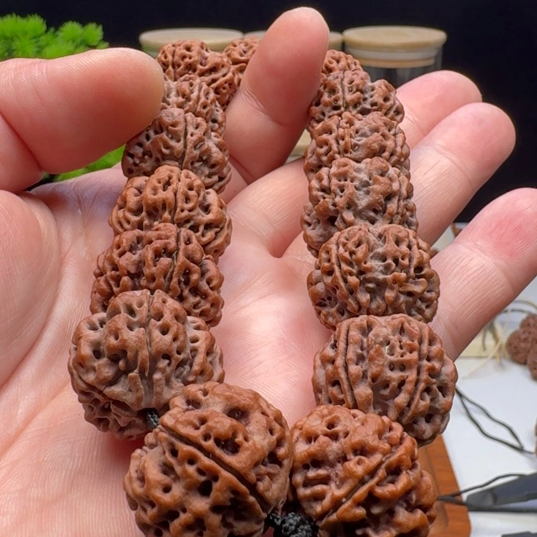 手串金刚菩提雪山铁子蜂窝双龙