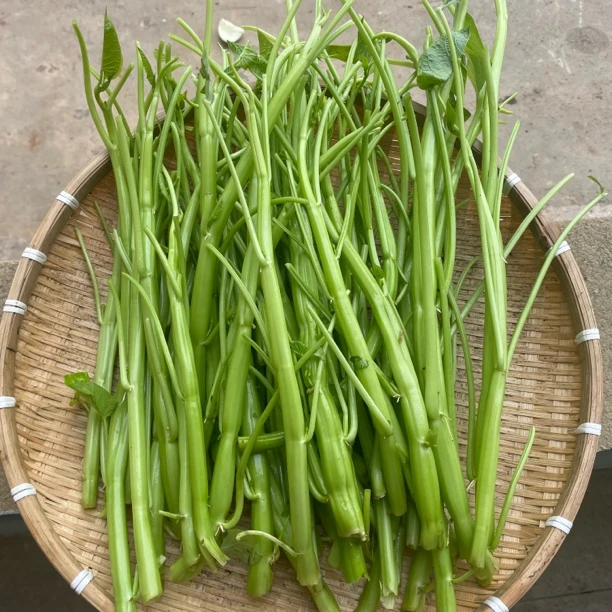 【顺丰包邮】本地空心菜杆子不带叶江西小炒甄选老品种农家自种现摘