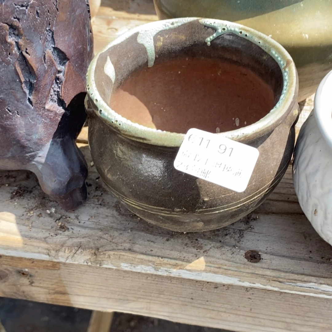 91号多肉盆口径9