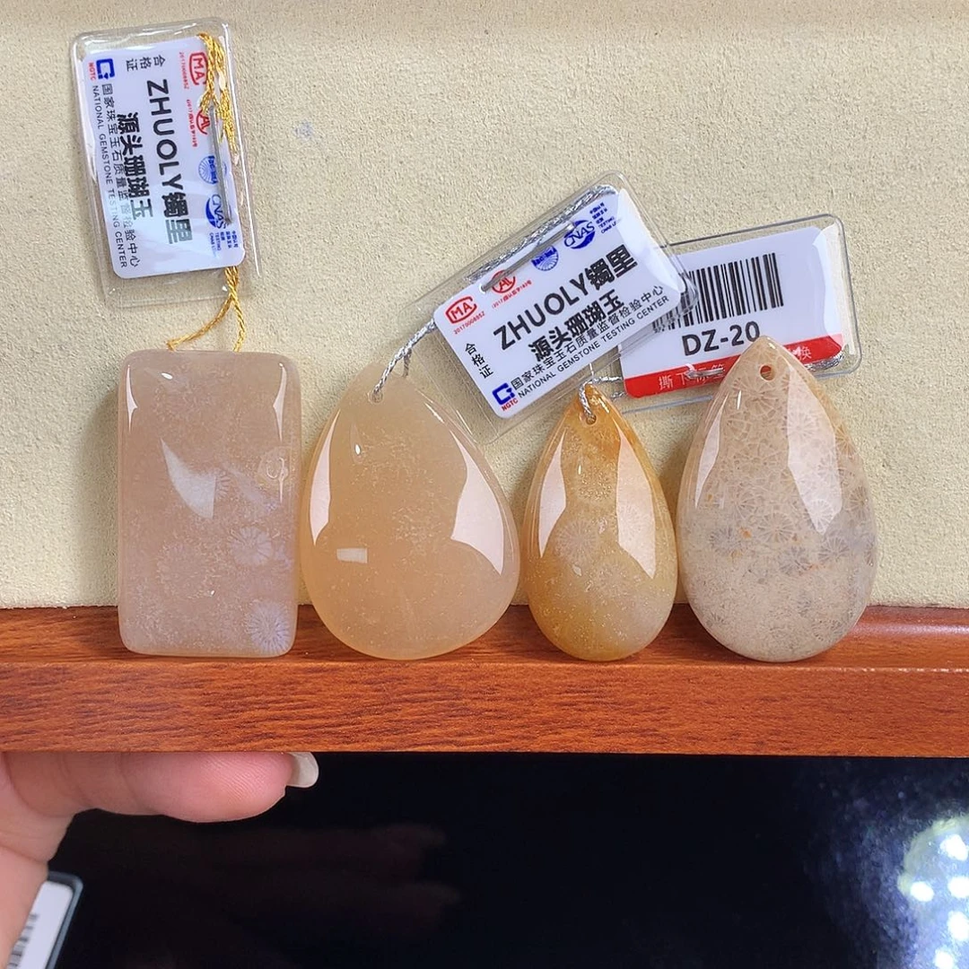 吊坠(赠链)未镶嵌硅化珊瑚（珊瑚玉）3号福利20漏10米一个可挑
